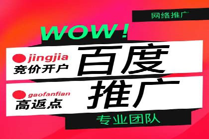 探索百度推广托管的奥秘：成功案例揭秘